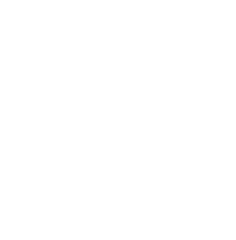 Ortus Technologies logo